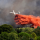 Naturschutz: Strategien der Waldbrandbekämpfung